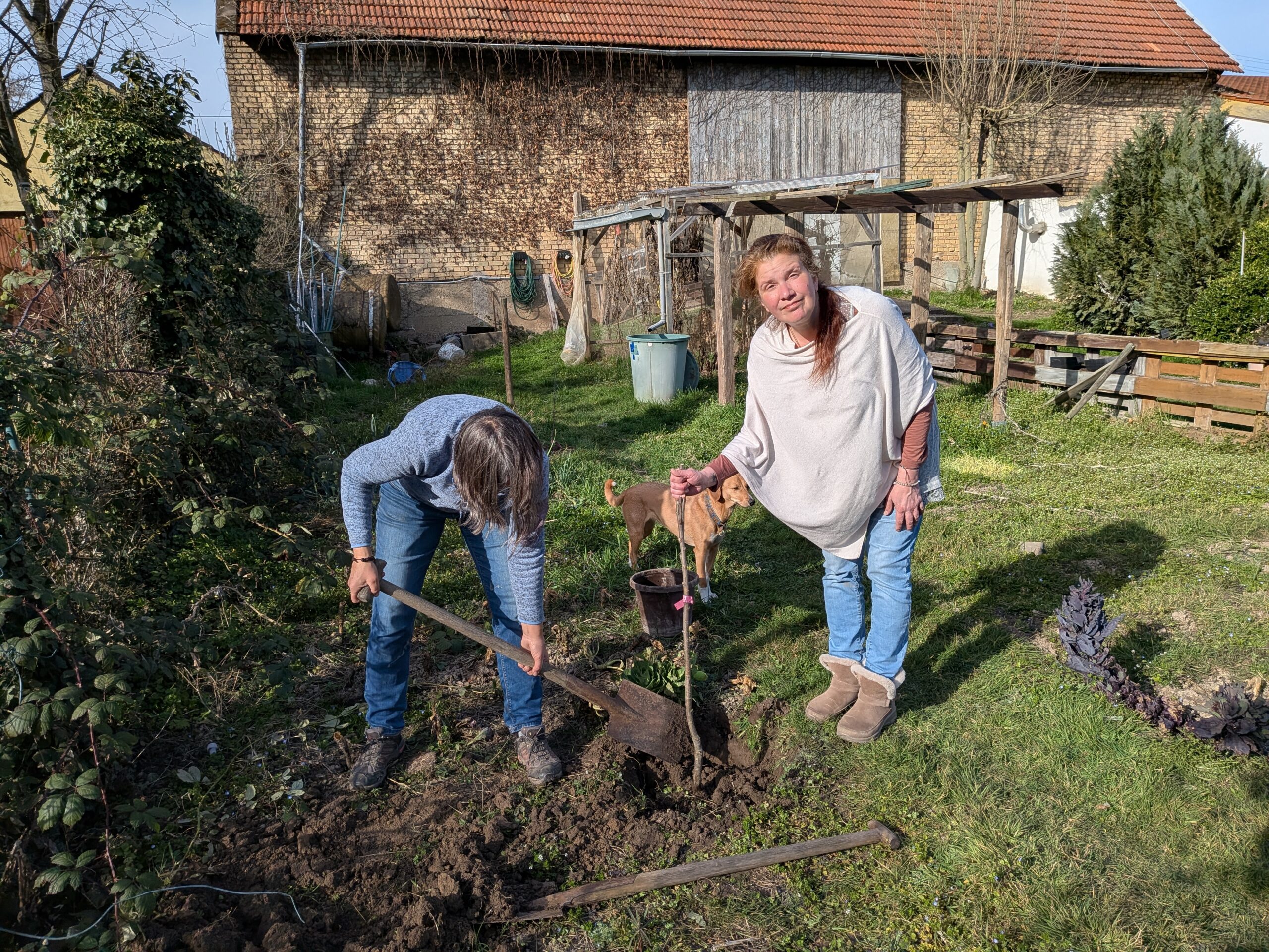 Im Garten vom Südpfalzhof tut sich etwas