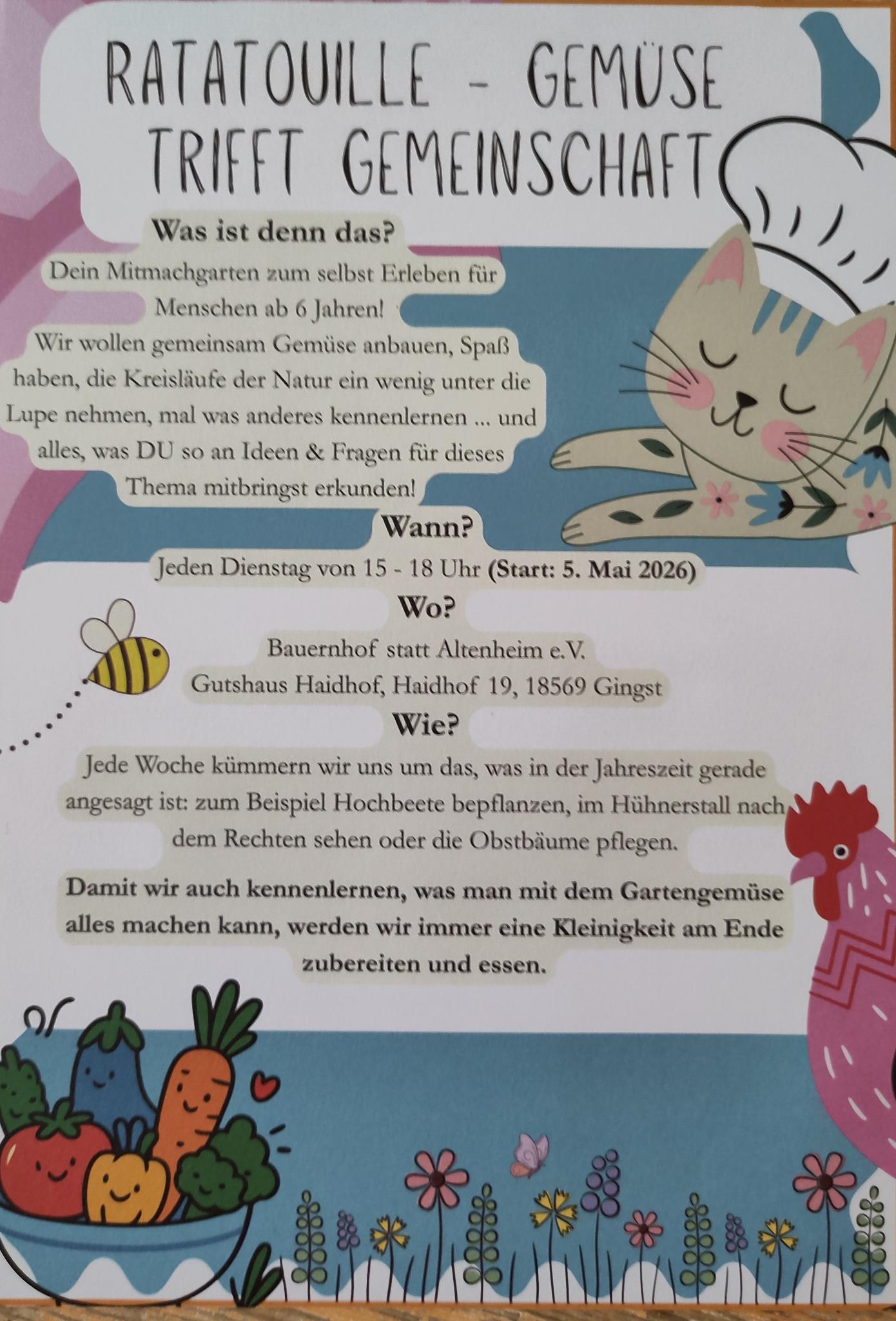 Ratatouille – Gemüse trifft Gemeinschaft